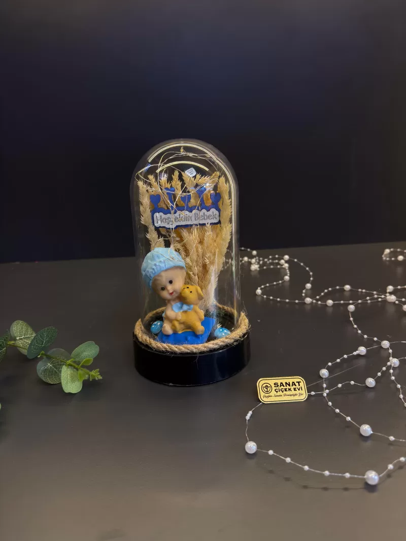 Işıklı Fanusta Erkek Bebek Teraryum
