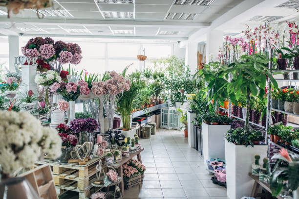 Bursa Premium Flowers